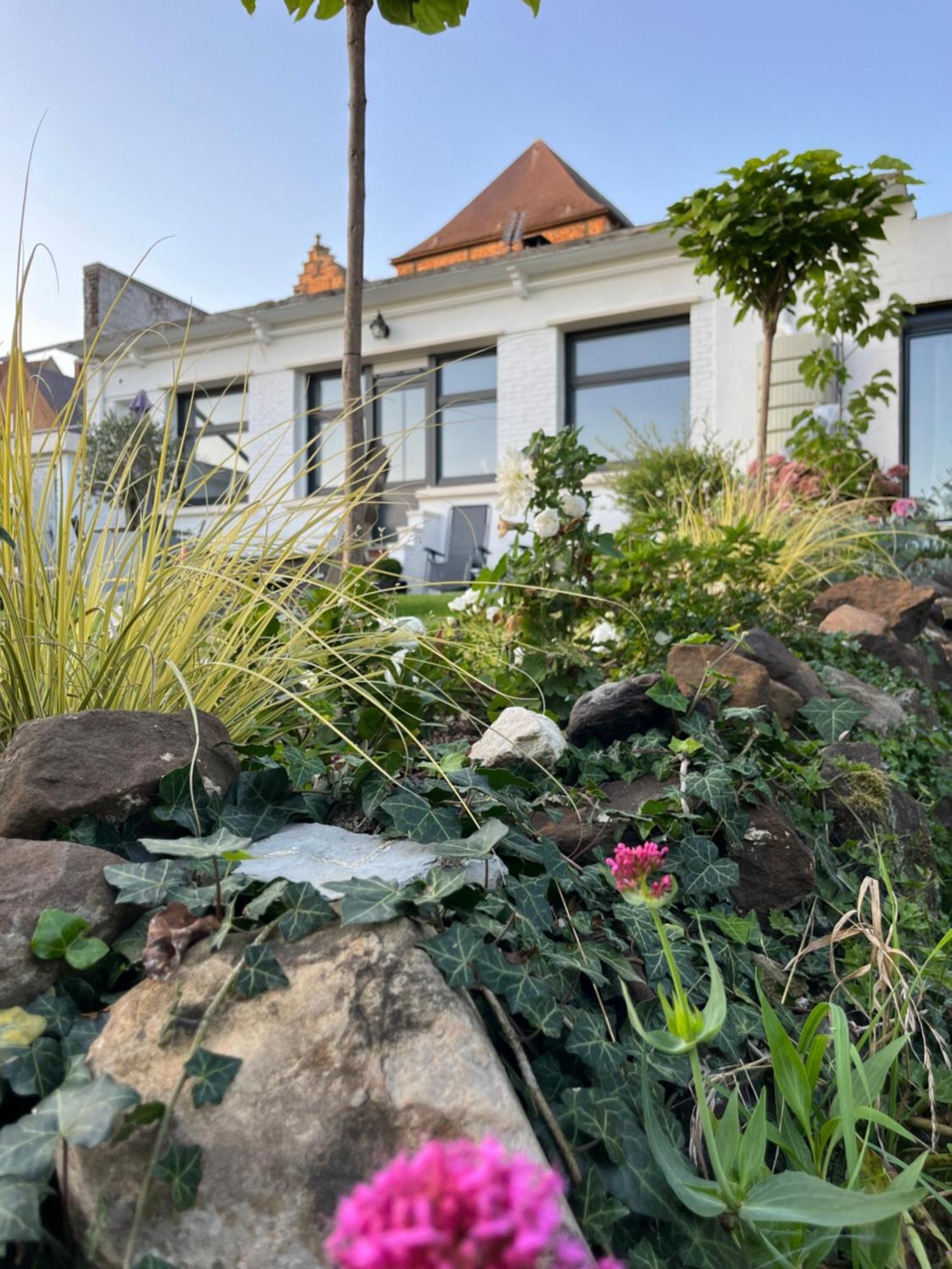 Le Petit Paradis Ferienhaus *