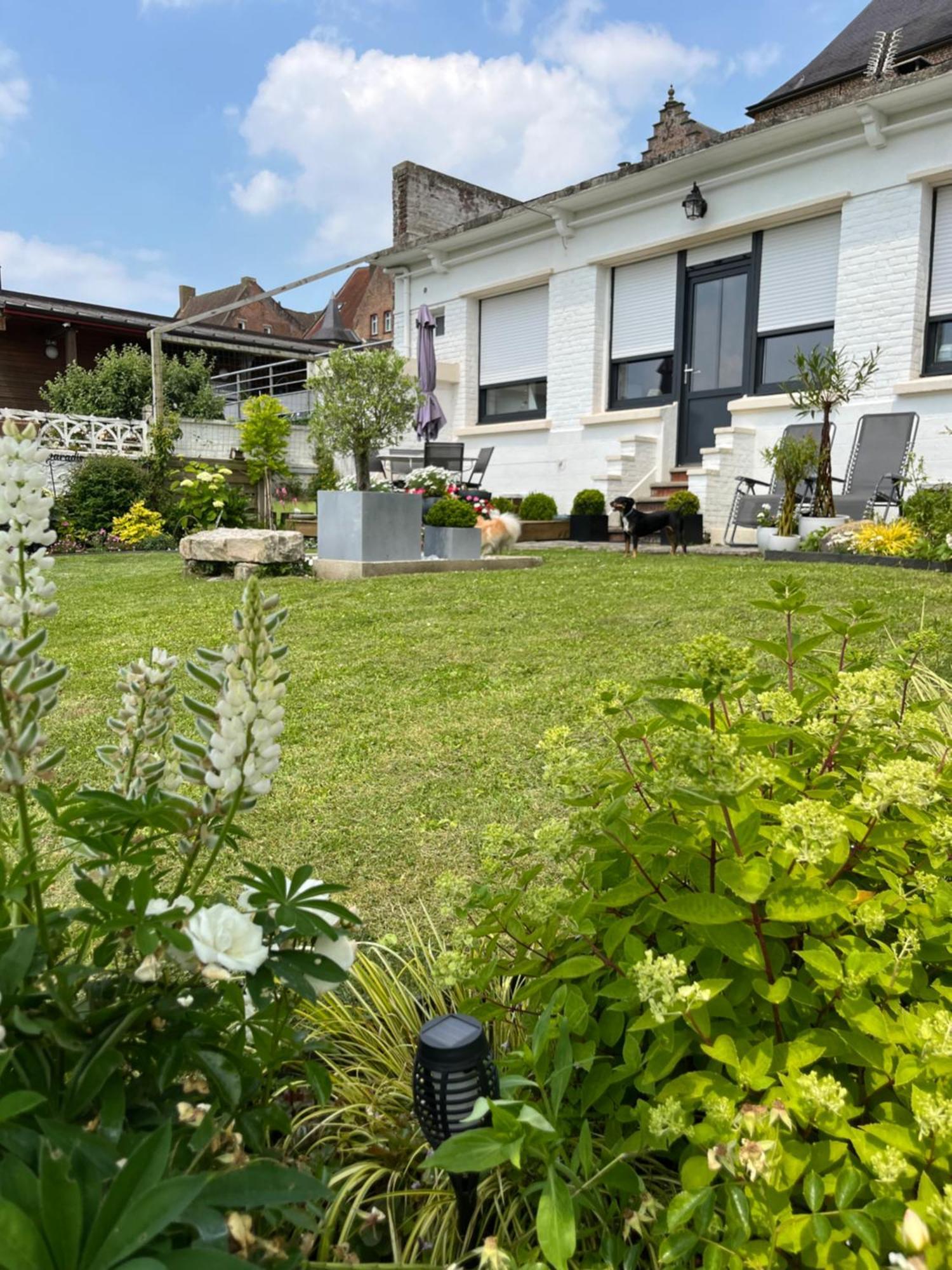 Le Petit Paradis * Cassel